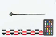 Foto von Kugelkopfnadel (NHMW-PRAE-026210)